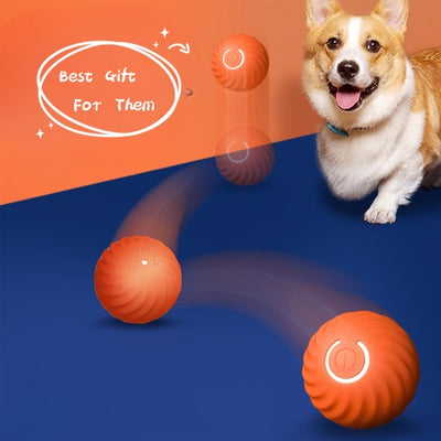Interactive Smart Chew Ball